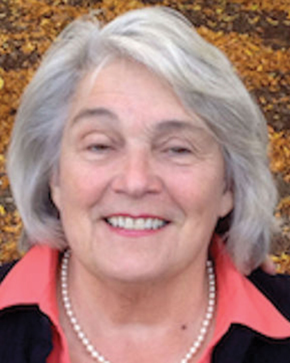 Sen. Ginny Lyons